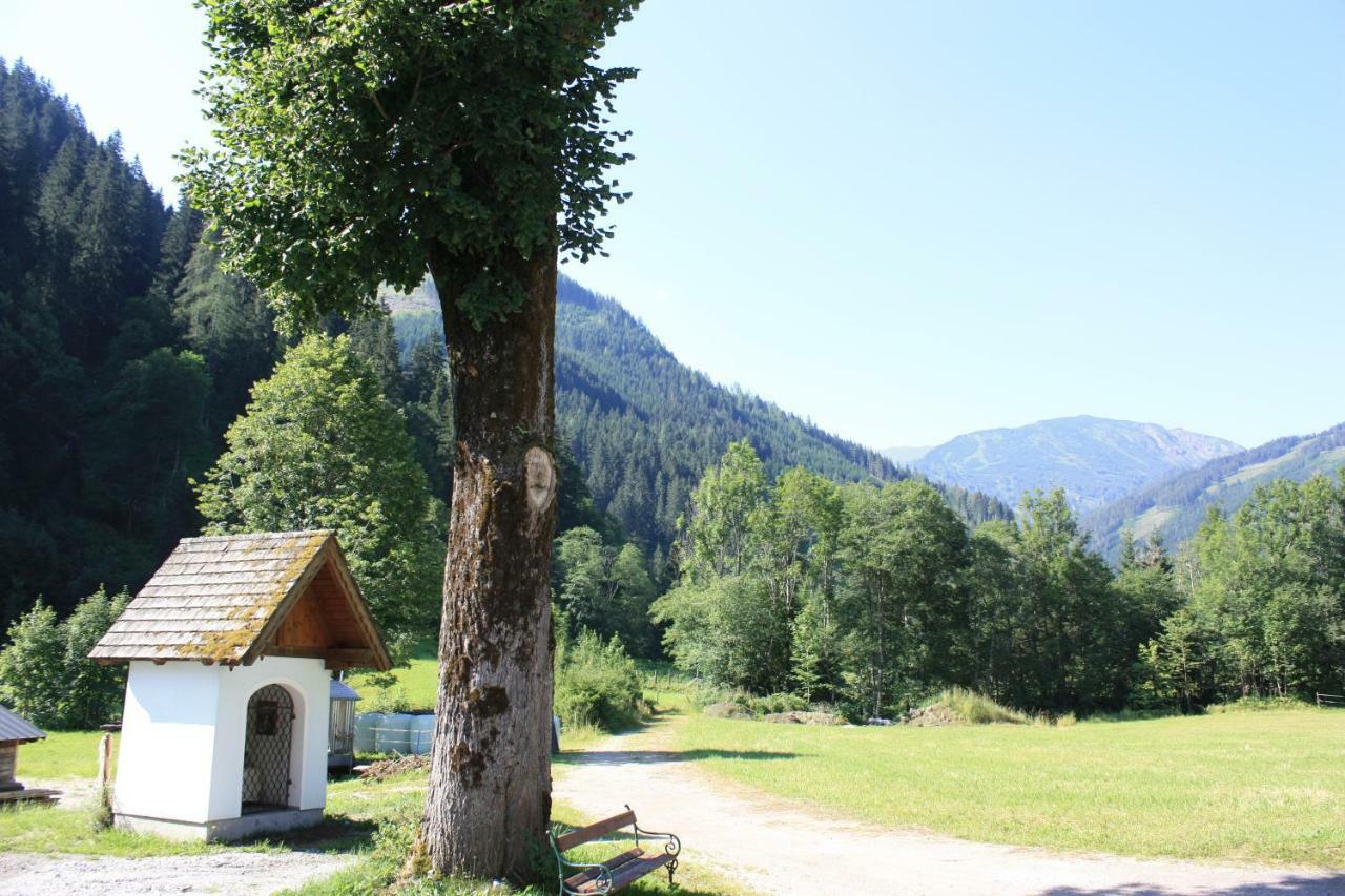 Chalet Ferienhaus Radmer Radmer an der Hasel 외부 사진